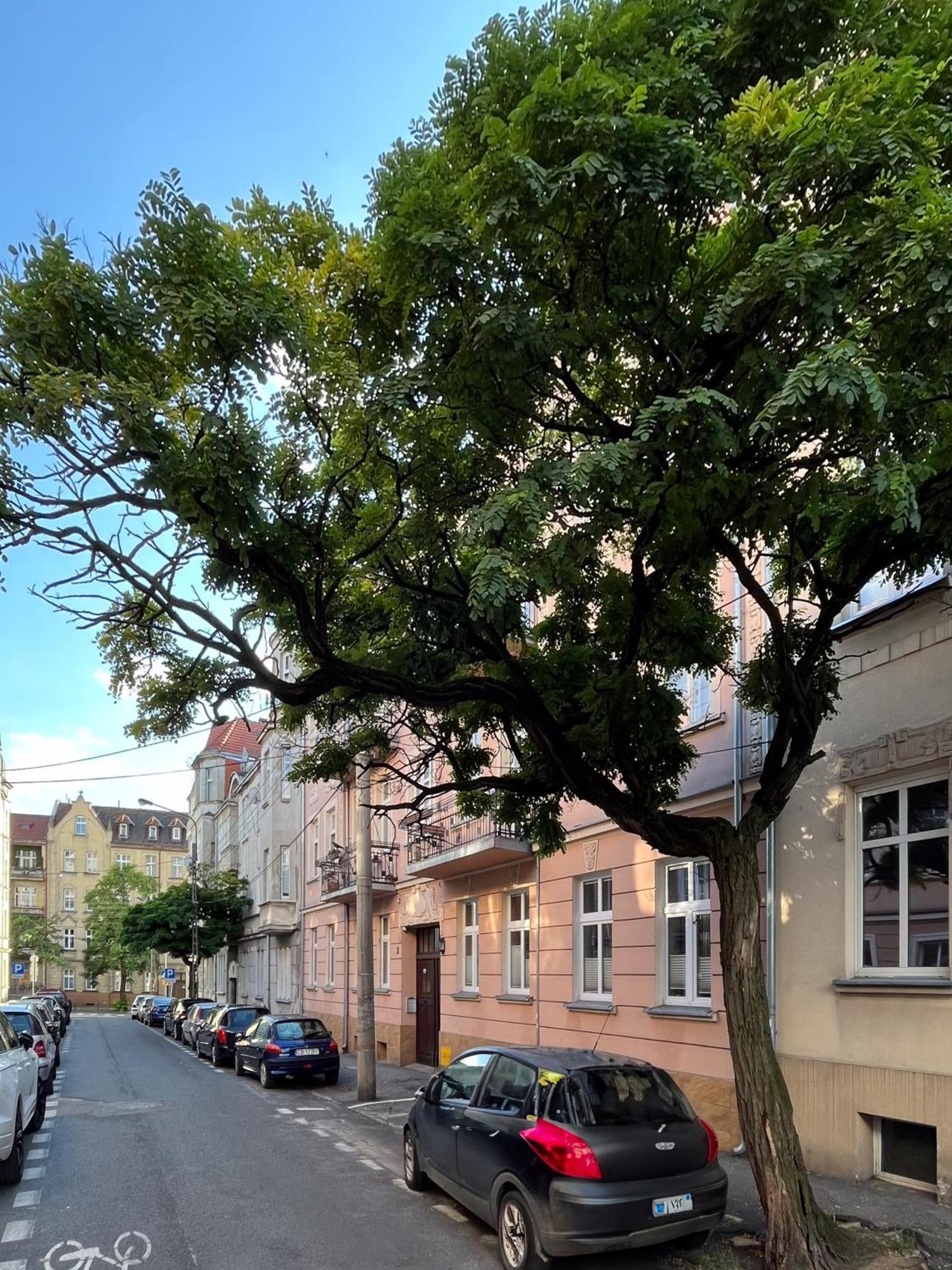 Apartament Dlugosza 3 - Jak W Domu - Idealny Na Dlugie Pobyty I Weekendy Bromberg Exterior foto